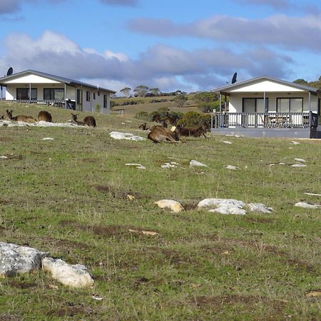 Waves & Wildlife Cottages Kangaroo Island Stokes Bay エクステリア 写真