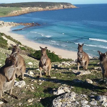 Waves & Wildlife Cottages Kangaroo Island Stokes Bay エクステリア 写真