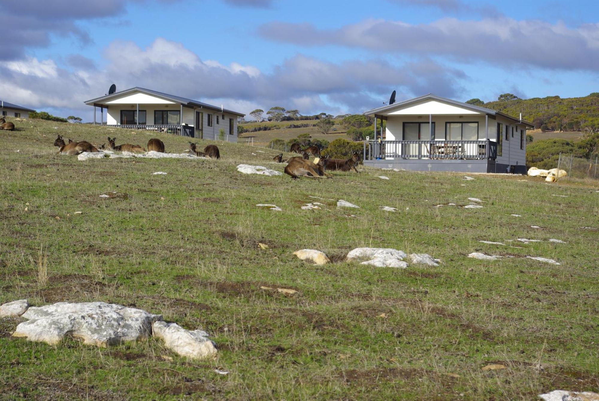 Waves & Wildlife Cottages Kangaroo Island Stokes Bay エクステリア 写真