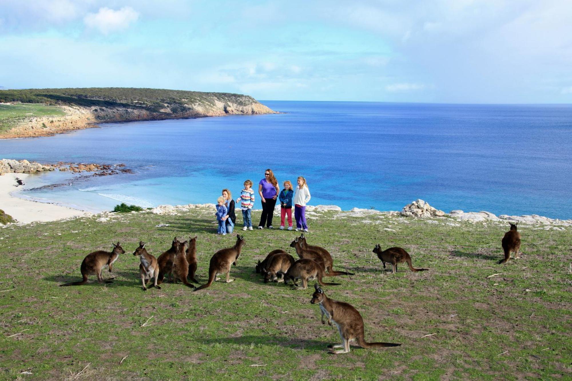 Waves & Wildlife Cottages Kangaroo Island Stokes Bay エクステリア 写真