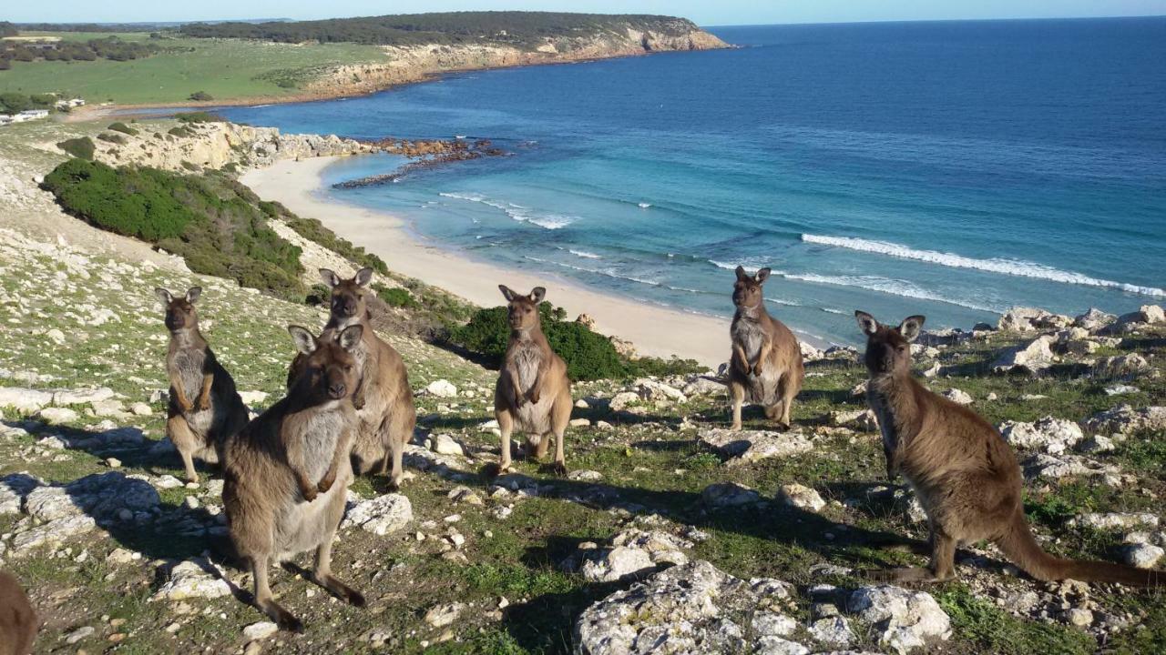 Waves & Wildlife Cottages Kangaroo Island Stokes Bay エクステリア 写真